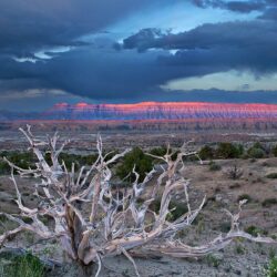 Daily Wallpaper: Capitol Reef National Park