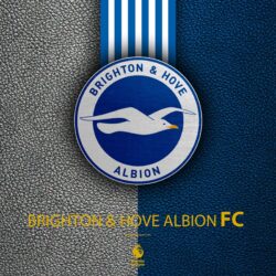 Download wallpapers Brighton and Hove Albion FC, 4k, English