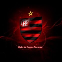 trololo blogg: Wallpapers Flamengo