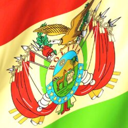 Bolivia National Flag Still