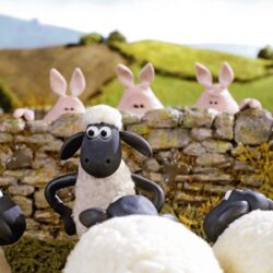 Shaun The Sheep HD pictures Shaun The Sheep Wallpapers