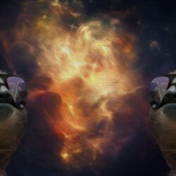 Sloth In Space Wallpapers