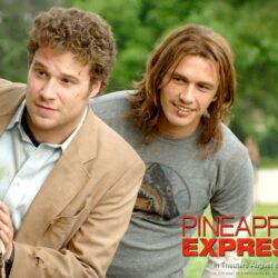 Seth Rogen image Pineapple Express Wallpapers HD wallpapers and