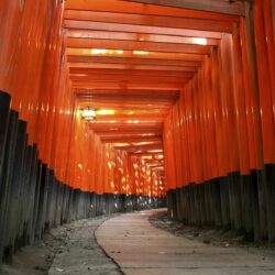Japan architecture torii Japanese architecture Fushimi Inari Shrine