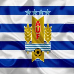Download wallpapers Uruguay national football team, logo, emblem