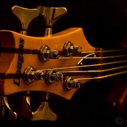 Wallpapers For > Ibanez Bass Guitar Wallpapers