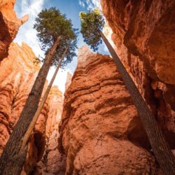 high resolution wallpapers widescreen bryce canyon national park
