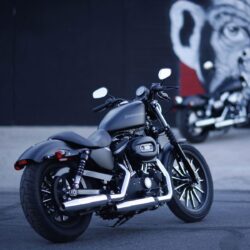 Harley Davidson Wallpapers Free