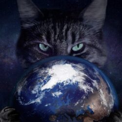 Insidious gray cat with the planet Earth in the clutches Desktop