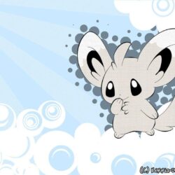 Minccino Vector Wallpapers by Kerria