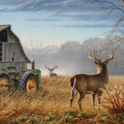 Deer Hunting Backgrounds ·①