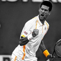 Novak Djokovic HD Wallpapers
