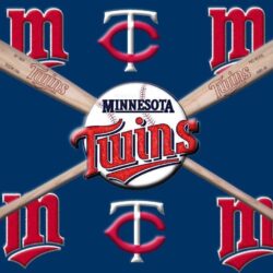 Minnesota Twins Logo : Desktop and mobile wallpapers : Wallippo
