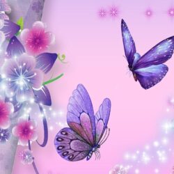Best butterfly wallpapers free
