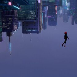 Spiderman Into The Spider Verse 2018, HD 4K Wallpapers