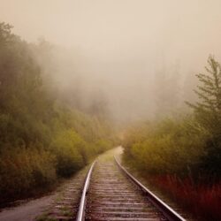 Download Railway, Trees, Fog Wallpapers
