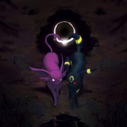 Umbreon and Espeon by Akurakai