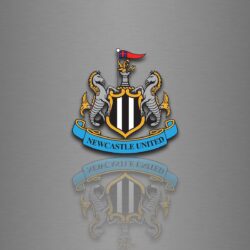 HD Backgrounds Newcastle United Logo Football Club Silver