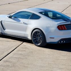 Ford Mustang Shelby GT350 2016 HD wallpapers free download
