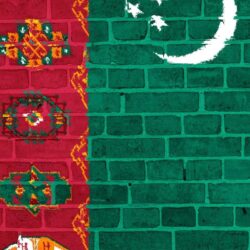 Download wallpapers turkmenistan, flag, wall, texture iphone