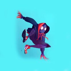 Spiderman Into The Spider Verse Wallpapers 29953