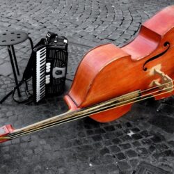 Wallpapers violin, double bass, instrumentos, rope image for desktop