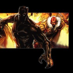 Black Panther comics Marvel Comics wallpapers