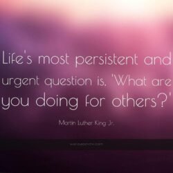 1015 martin luther king jr quote life s most persistent and urgent