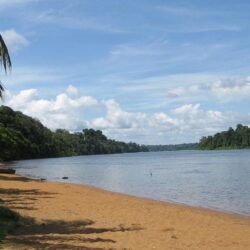 River and Tropical Coas in Suriname Wallpapers