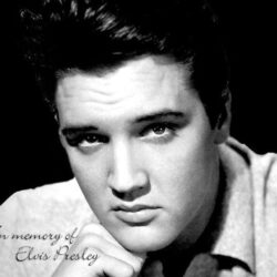 Elvis Presley Wallpapers 112724