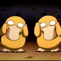 Psyduck image Psyduck HD wallpapers and backgrounds photos