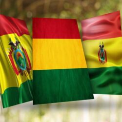 Bolivia Flag Wallpapers for Android