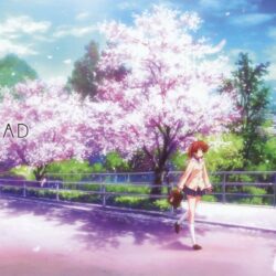 Image For > Clannad After Story Wallpapers