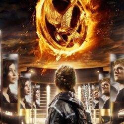 The Hunger Games 2012 Wallpapers