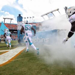 Miami Dolphins High Quality HD Wallpapers 2015
