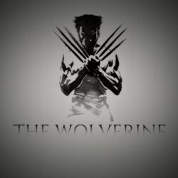 Latest 35 Wolverine HD Wallpapers for pc