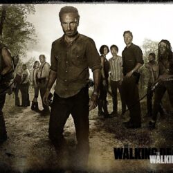 Walking Dead HD Wallpapers