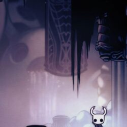 Video Game/Hollow Knight