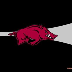 Razorback Wallpapers for Computer