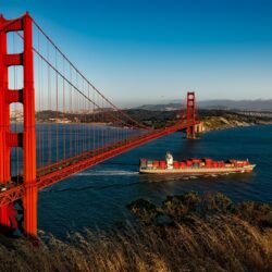 100+ Interesting San Francisco Photos