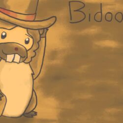 bidoof