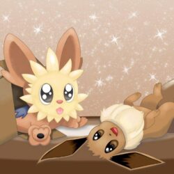 Lillipup and Eevee by DragonfireMagic