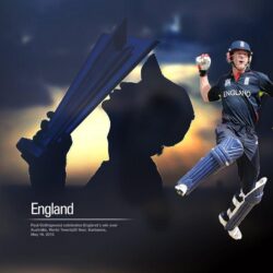 Cricket Wallpapers HD
