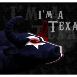 Houston Texans Wallpapers