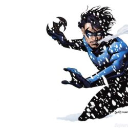 Teen Titans image Dick Grayson