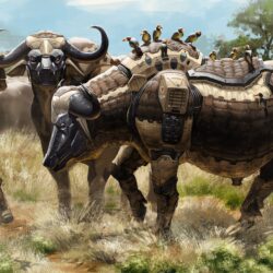 Soldier with robot buffalo herd wallpapers