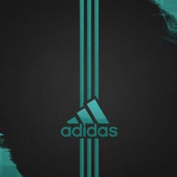 Adidas Glow Free HD Widescreen Wallpapers 6591 Wallpapers