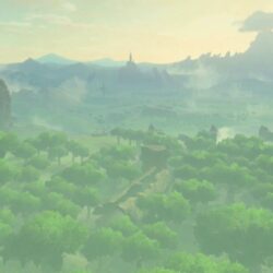 See how each version of Zelda: Breath of the Wild measures up for