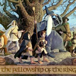 The Fellowship Of The Ring