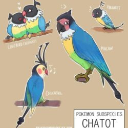 Pkmn Subspecies: Chatot by ky
